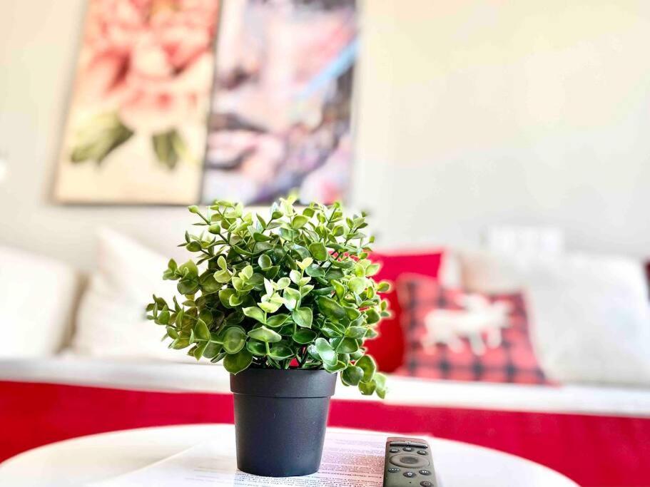 Tropicana 218 Macalister #Wondercolor #Infinity Pool #Georgetown #5Pax #2Br 2Bath #1King 1Queen 1Single #Quality Well Maintained #Private Host Esterno foto